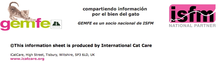 Captura de pantalla 2016-03-08 a las 18.29.38