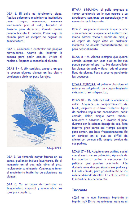 Captura de pantalla completa 25052016 113044