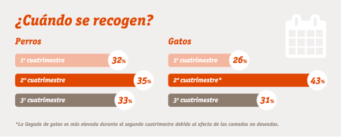 Captura de pantalla 2017-05-22 a las 11.45.27