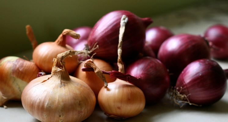 12-beneficios-cebolla