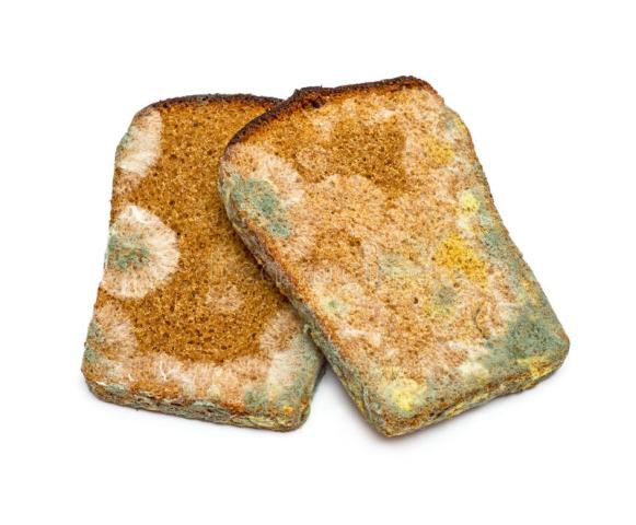 mouldy-rye-bread-two-slices-isolated-white-background-36227102