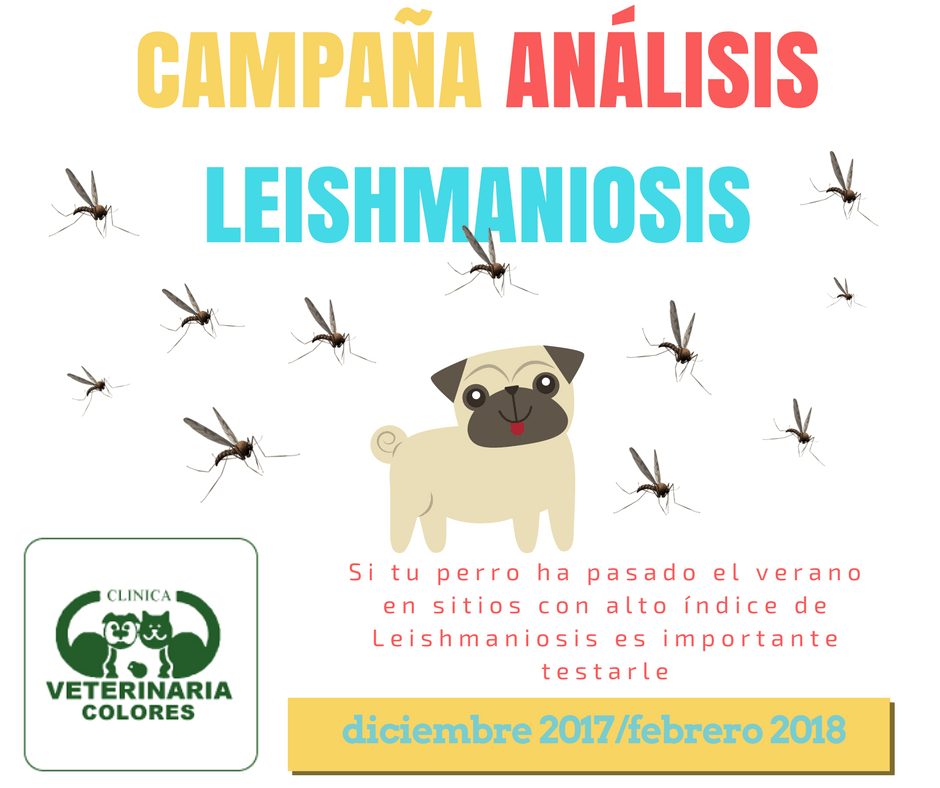 campaña leishmaniosis 2018