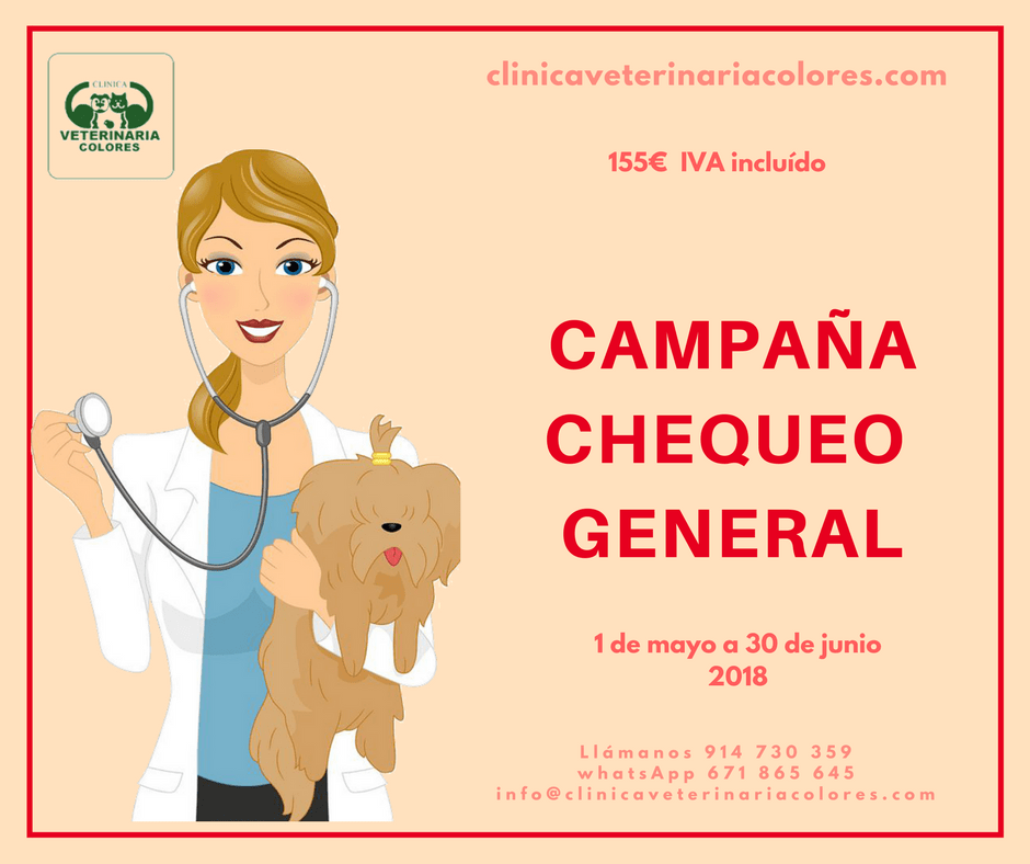 chequeo 2018